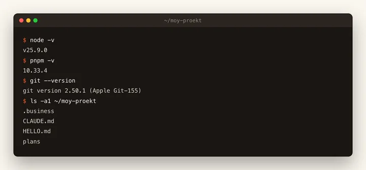 Мокап терминала с реальным выводом: версии Node.js, pnpm и Git и список файлов проекта