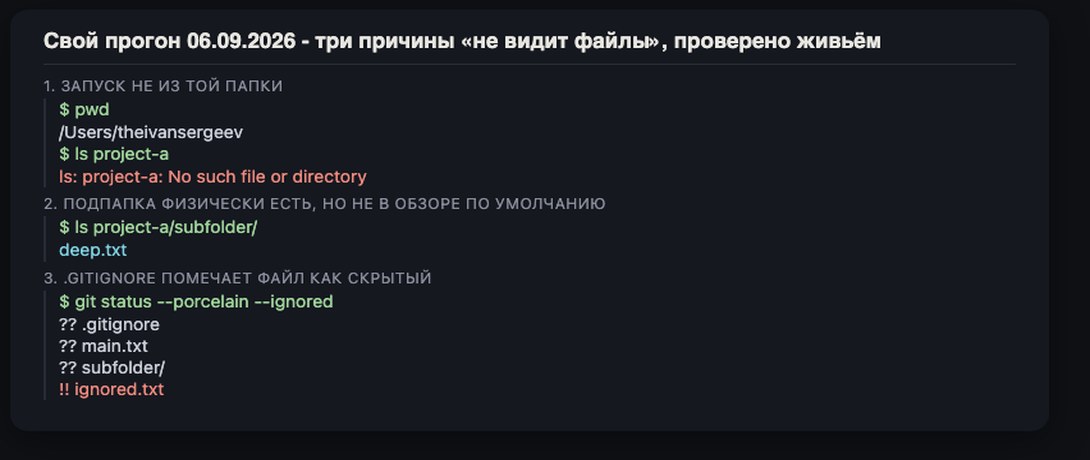 Мой прогон: команда из чужой папки не находит файл, подпапка не видна сама, .gitignore ставит флаг !!