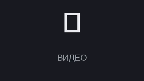 Карточка гайда: тёмная плашка с глифом «▶» и надписью «ВИДЕО»