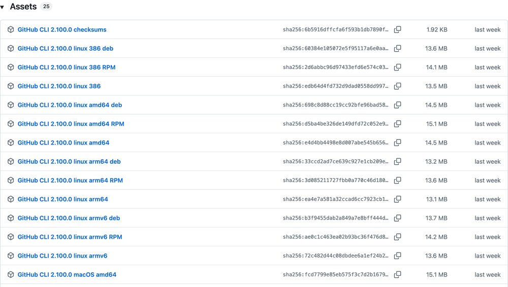 Блок Assets на странице релиза GitHub со списком готовых файлов под разные системы и процессоры