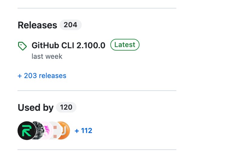 Правая колонка страницы проекта на GitHub с разделом Releases и последней версией программы