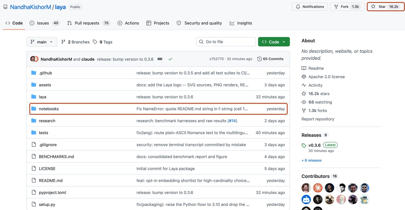 Репозиторий NandhaKishorM/laya на GitHub: рамка 1 на папке notebooks с ноутбуком дообучения, 2 на 16,2 тысячи звёзд