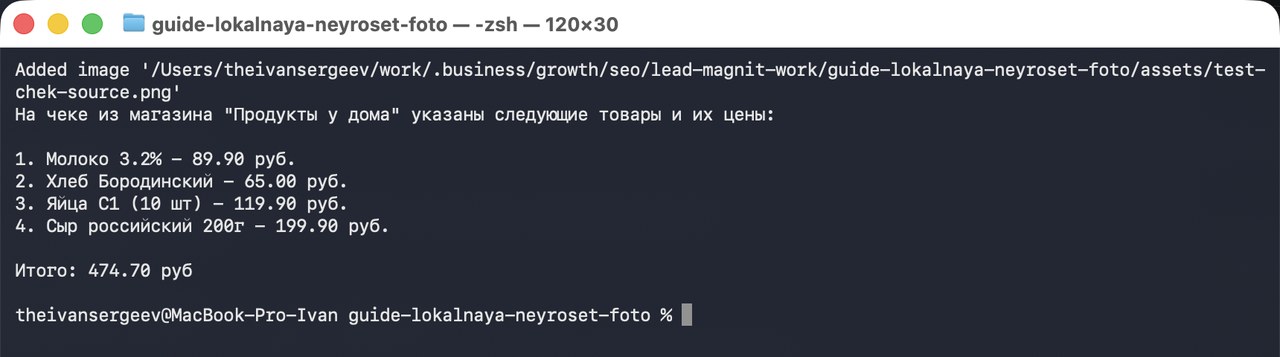 Окно для команд на Маке, модель распознала чек и вывела список товаров и сумму текстом