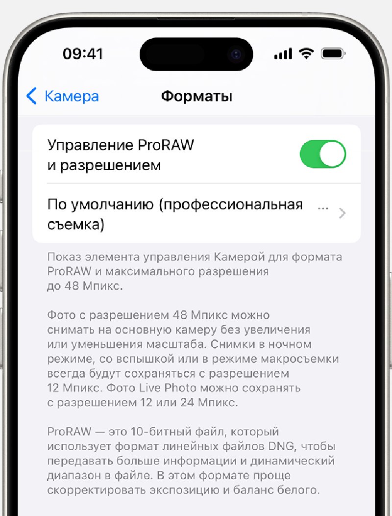 Экран iPhone Настройки > Камера > Форматы: включён переключатель «Управление ProRAW и разрешением», ниже про 48 Мпикс