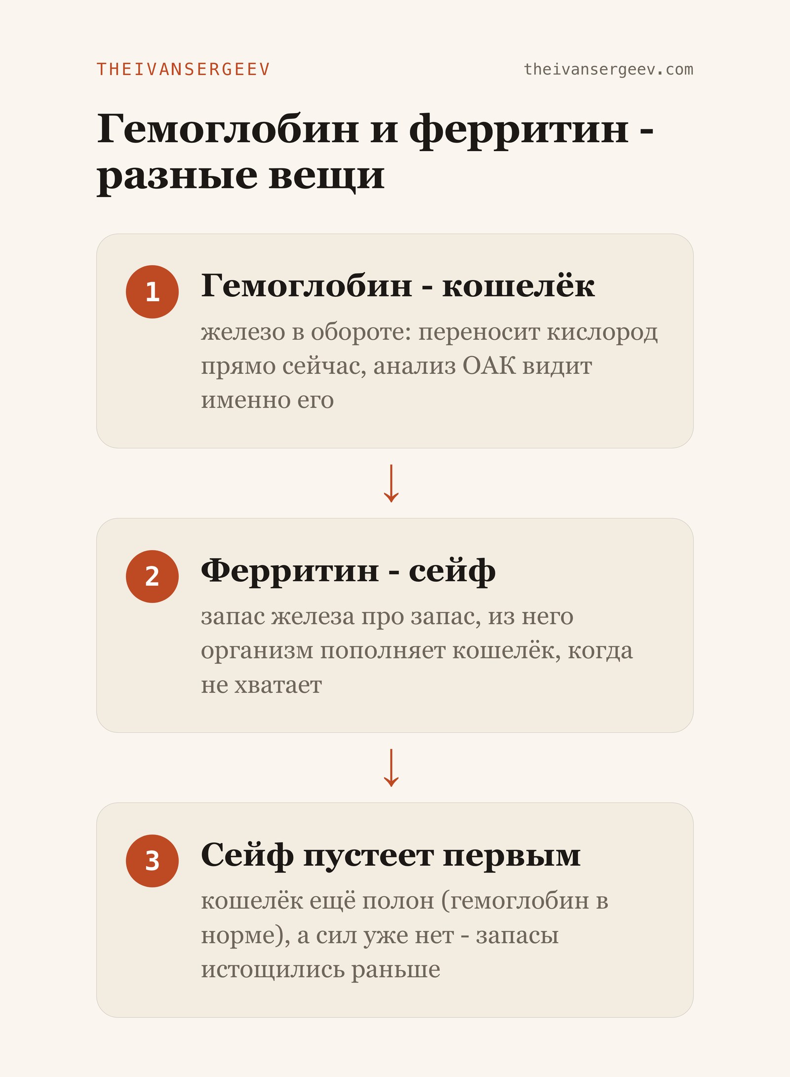 Схема: гемоглобин работает как кошелёк с железом в обороте, ферритин - как сейф с запасом железа