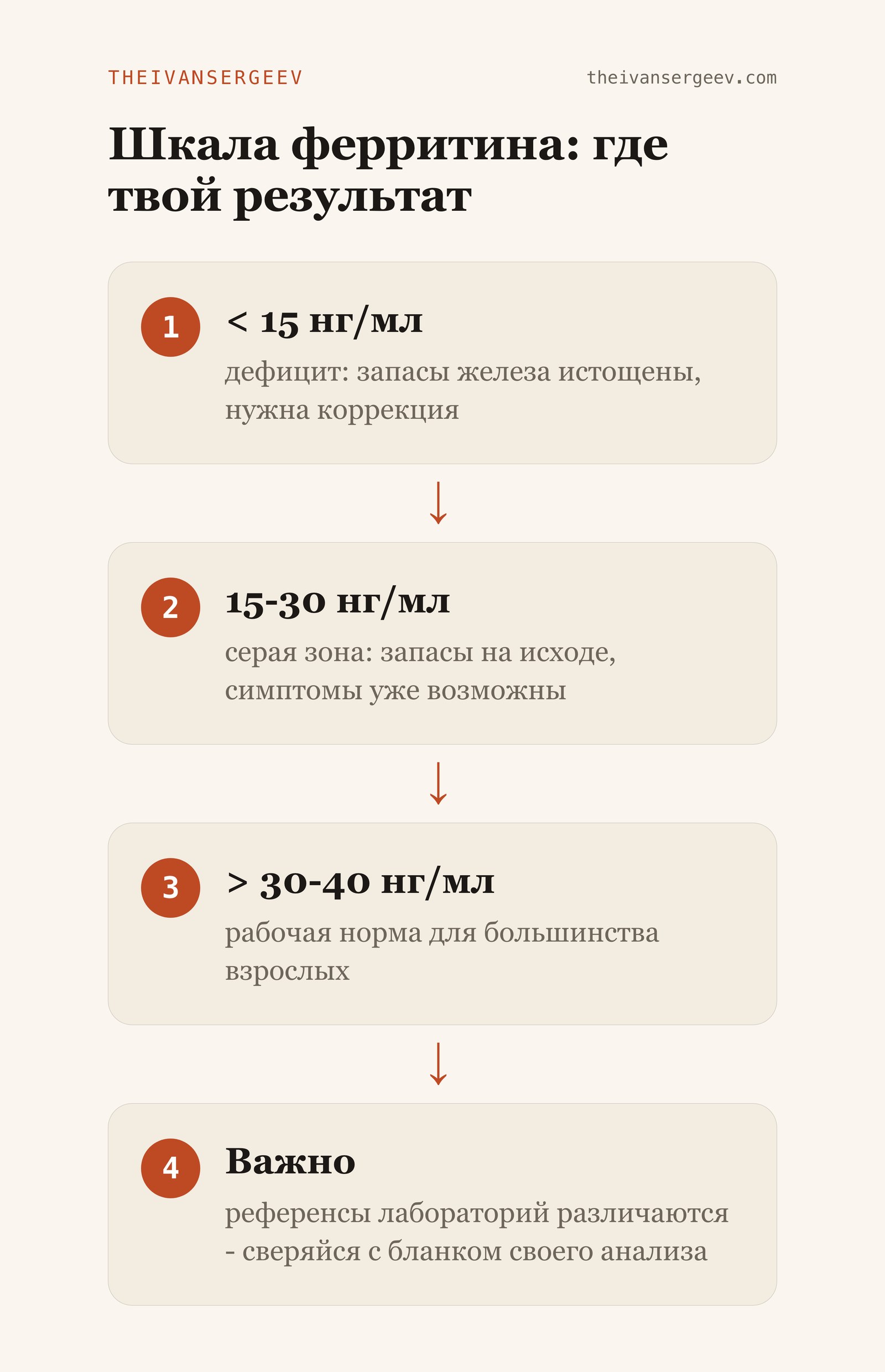 Шкала уровня ферритина в нг/мл: дефицит ниже 15, серая зона 15-30, норма выше 30-40