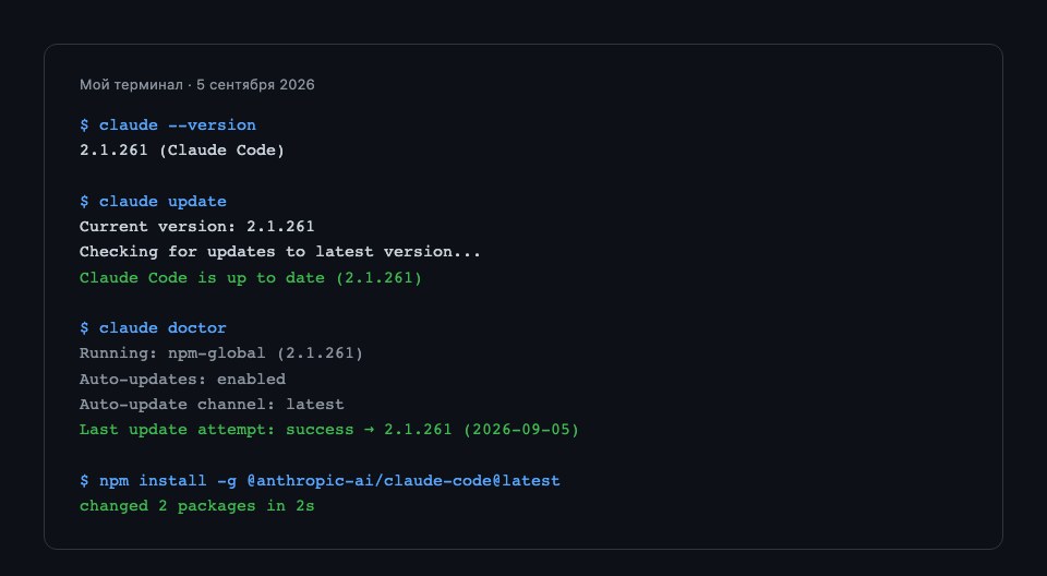 Реальный вывод моих команд claude update, claude doctor и переустановки с флагом latest на моей машине
