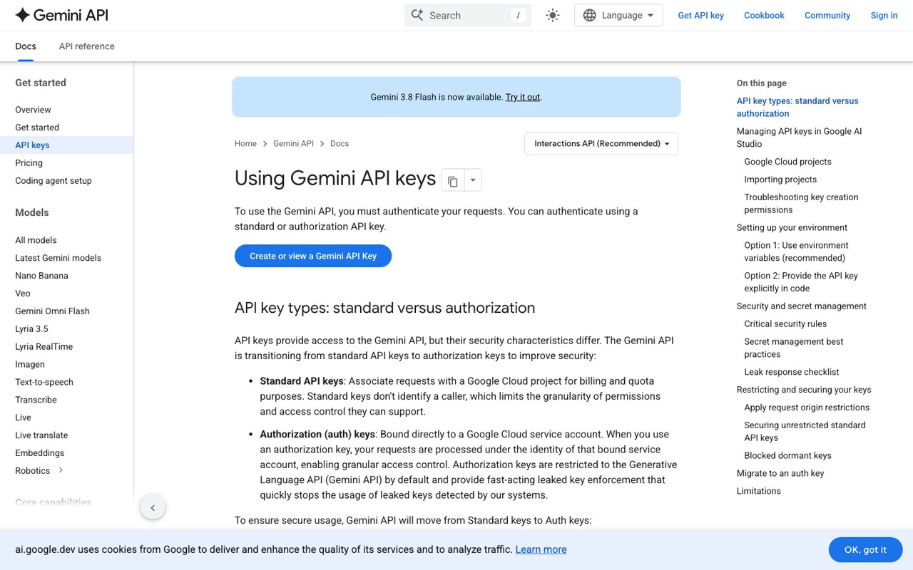 Официальная документация Gemini API про создание и использование ключа доступа, страница ai.google.dev