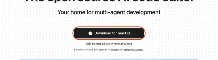Главная страница code.visualstudio.com с обведённой кнопкой Download for macOS и ссылкой other platforms